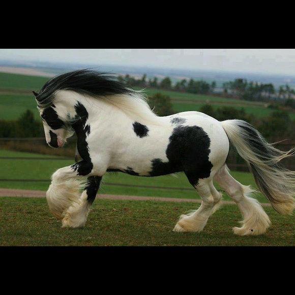 🌍five star seller - check my love notes - Picture 12 of 16